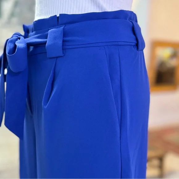 Express Wide Leg Dress Pants - Picture 5 of 15